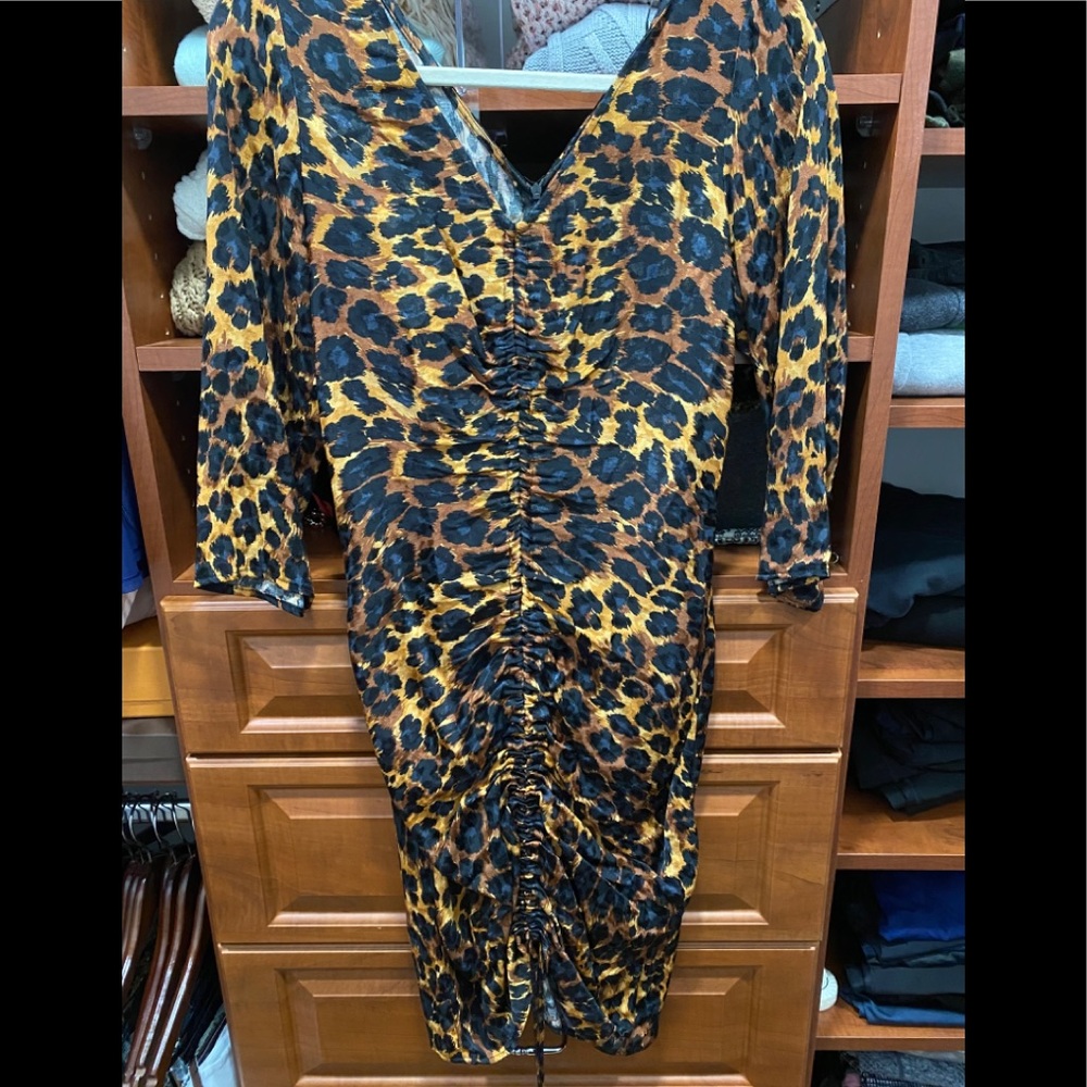 Zara leopard rouche drawstring silk dress size XS